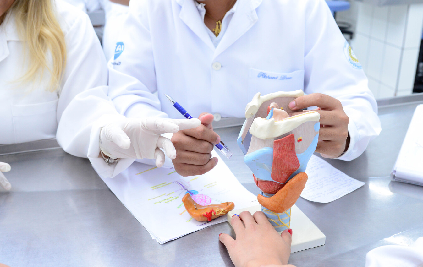 Anatomia