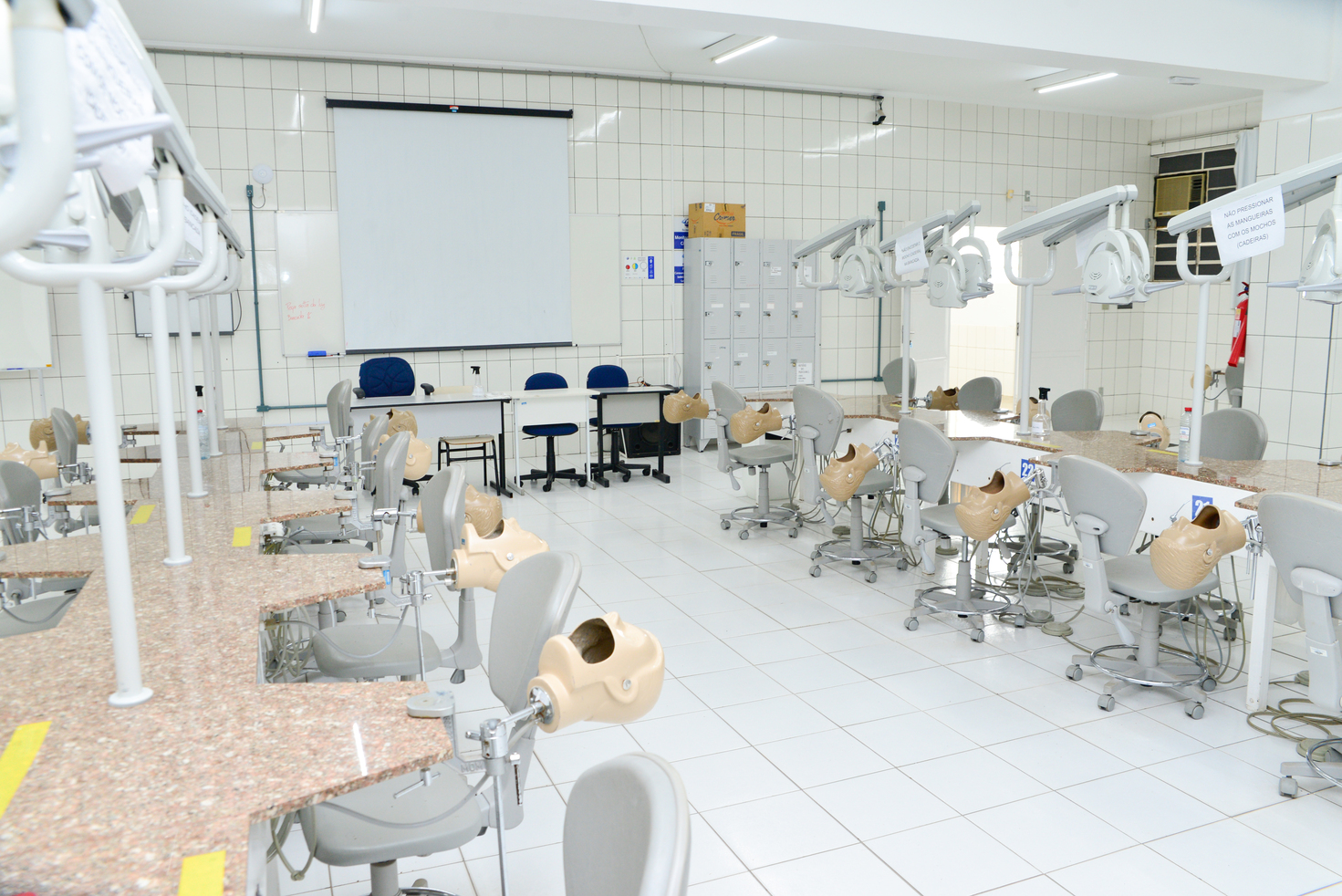 Odontologia
