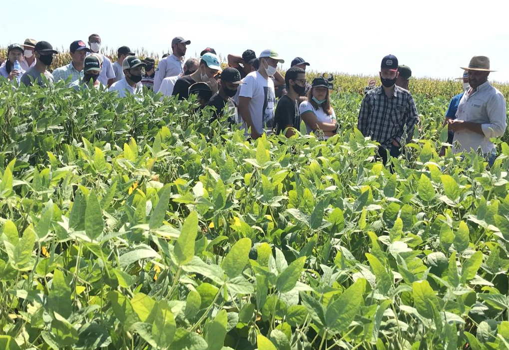 Alunos de Agronomia da FAI participam de Dia de Campo de soja e milho na APTA